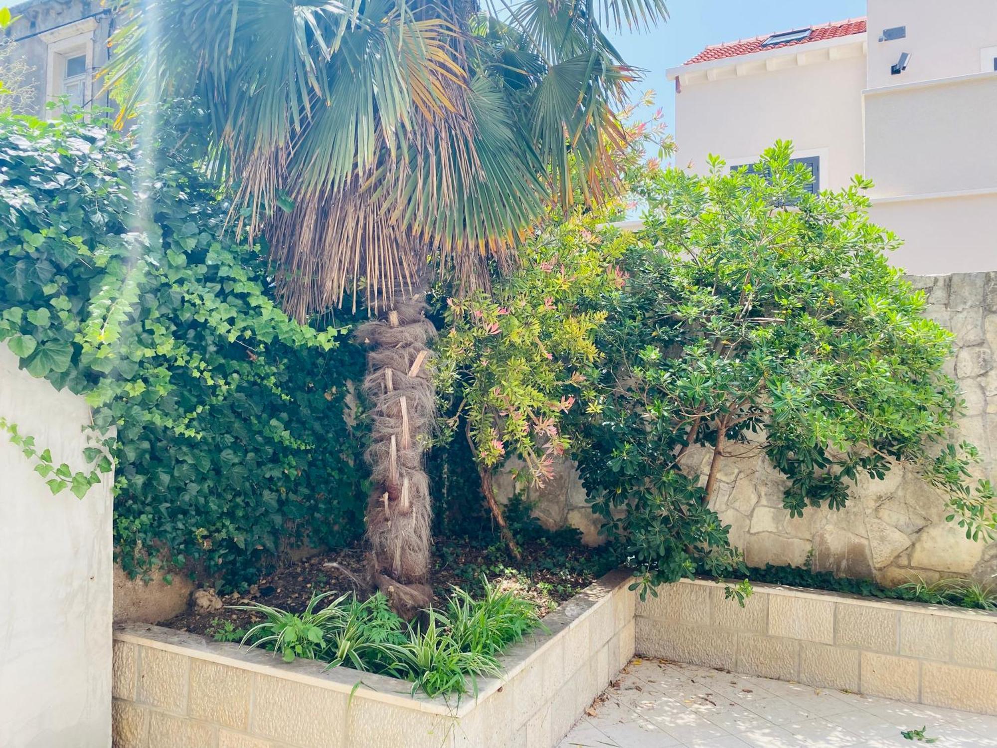 Pafi Apartment Dubrovnik Eksteriør billede